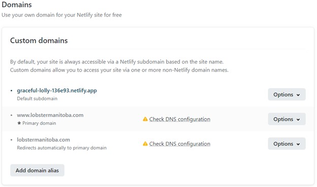 screenshot of netlify
